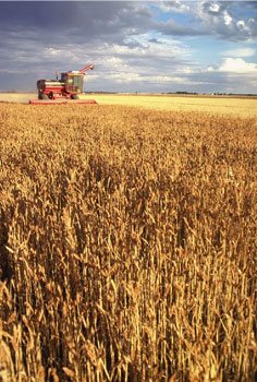 Conventional Farmers