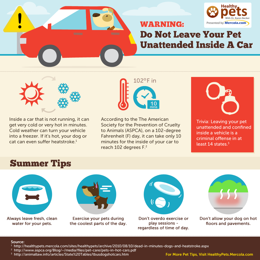 Image result for Hot weather tips to keep kids safe, car running