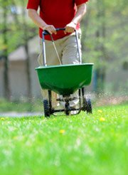 Your home may be downwind from a golf course teeming with accumulated pesticides and chemicals from lawn care products.  