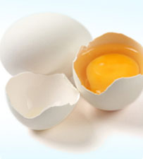 Fresh Eggs