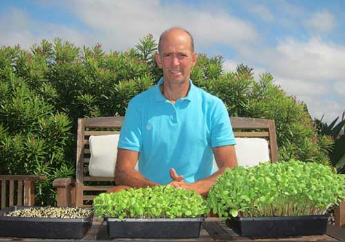 Dr. Mercola Growing Sprouts Plant
