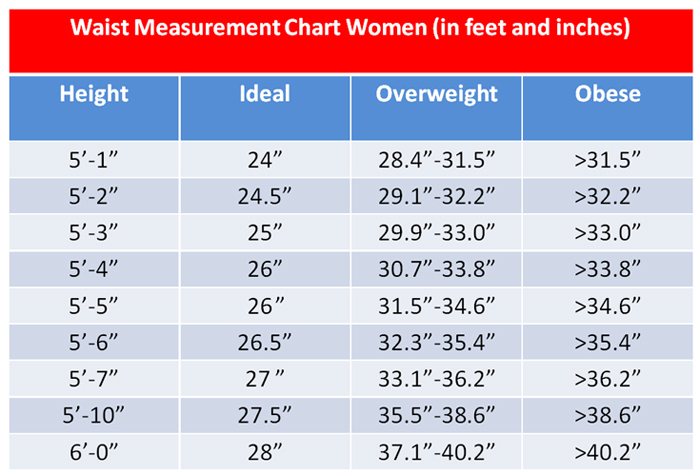 Ideal Waist Size By Height Chart 3 Fat Chicks On A Diet