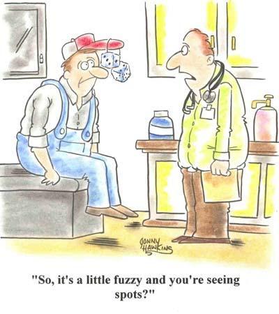 Daily Humor