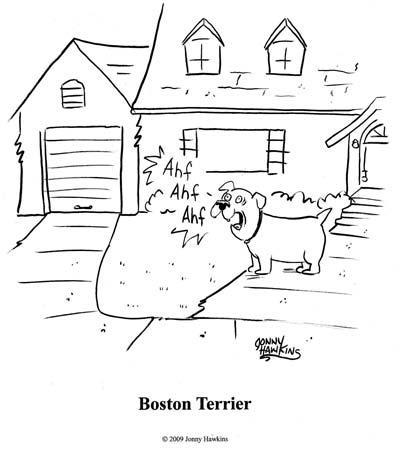 Daily Humour