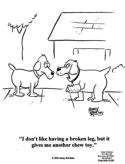Daily Humour
