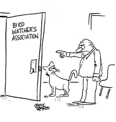 Daily Humour