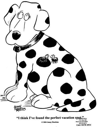 Daily Humour