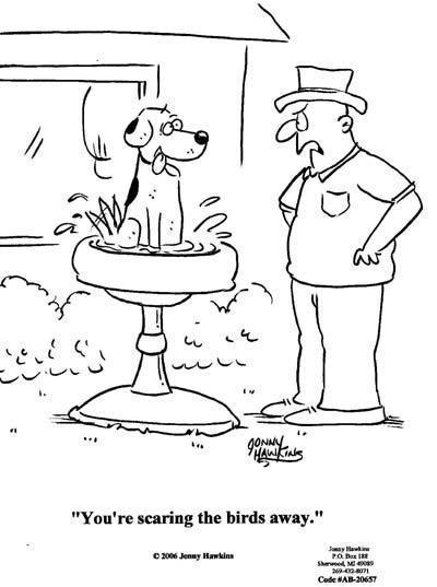 Daily Humour