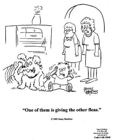 Daily Humour