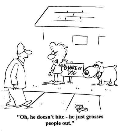 Daily Humour