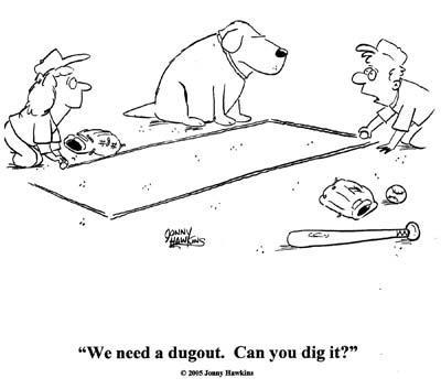 Daily Humour