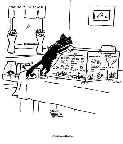 Daily Humour