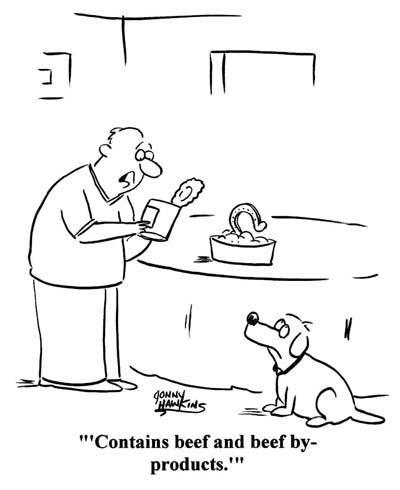 Daily Humour