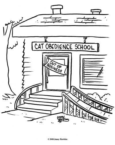 Daily Humour