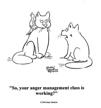 Daily Humour