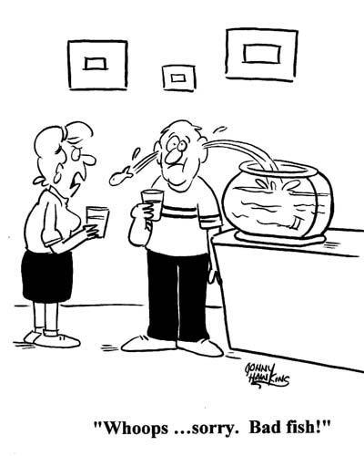 Daily Humour