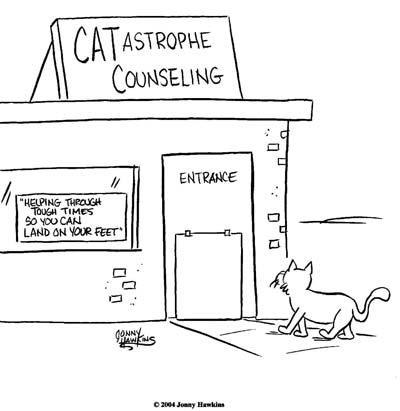 Daily Humour