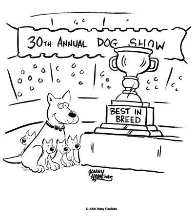 Daily Humour