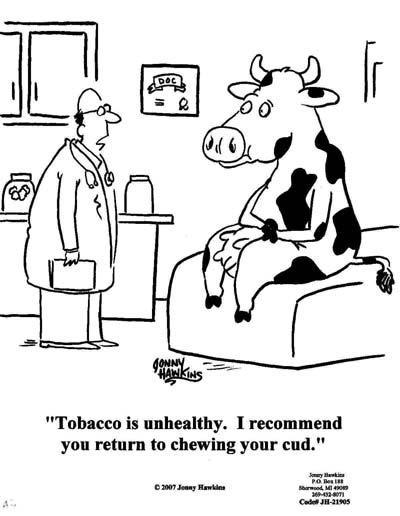 Daily Humour