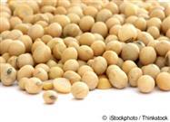 Soy: Eating This "Healthy" Food? It Could Be Slowly and Silently Killing You
