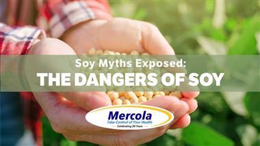 Soy: This "Miracle Health Food" Has Been Linked to Brain Damage and Breast Cancer