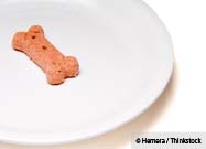 Dog Food