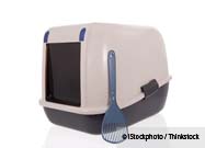 Cat Litter Box