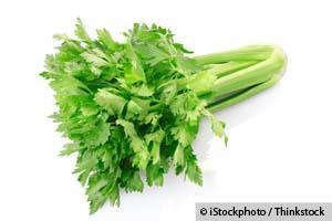 Can Celery Be Useful to Treat Breast Cancer?