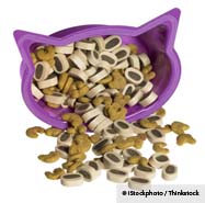 Raw Kibble