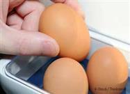 Refrigerating Eggs