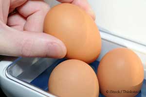 Refrigerating Eggs