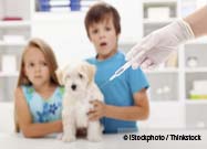 Dog Vaccine