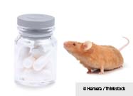 Rodent Bait