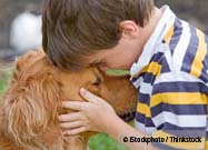 Comfort Dog