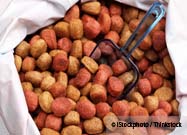 Kibble