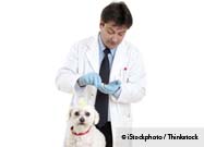 Pet Prescription