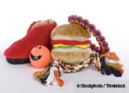 Pet Toys