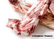 Raw Pet Food