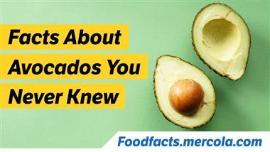 The Many Health Benefits of Avocado
