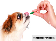 Pet Probiotics