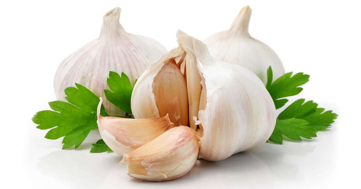 http://media.mercola.com/ImageServer/Public/2013/November/garlic-with-parsley-fb.jpg