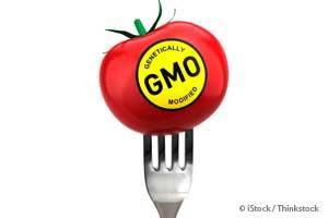 Win or Lose, State GMO Labeling Initiatives Are Changing the Game