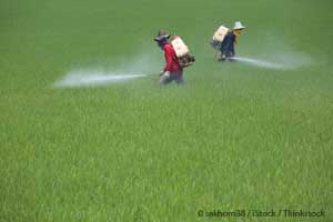 Pesticides in Food