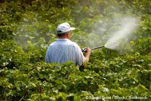 Spraying Pesticides