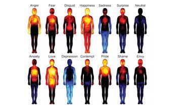 Imaging Technology Finally Reveals How Emotions Manifest in Your Body