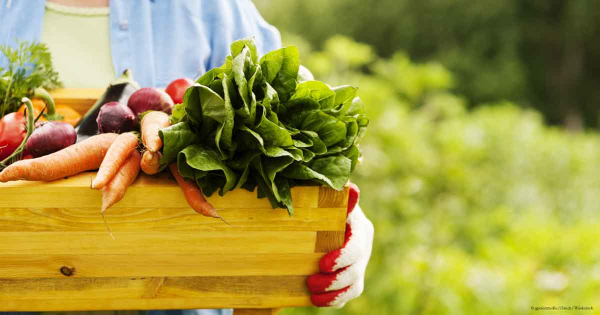 Картинки по запросу organic food