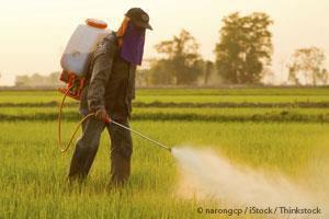 Peligros de los Pesticidas