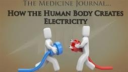 How Your Body Generates Electricity