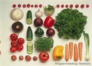 A Guide To Growing Vegetables