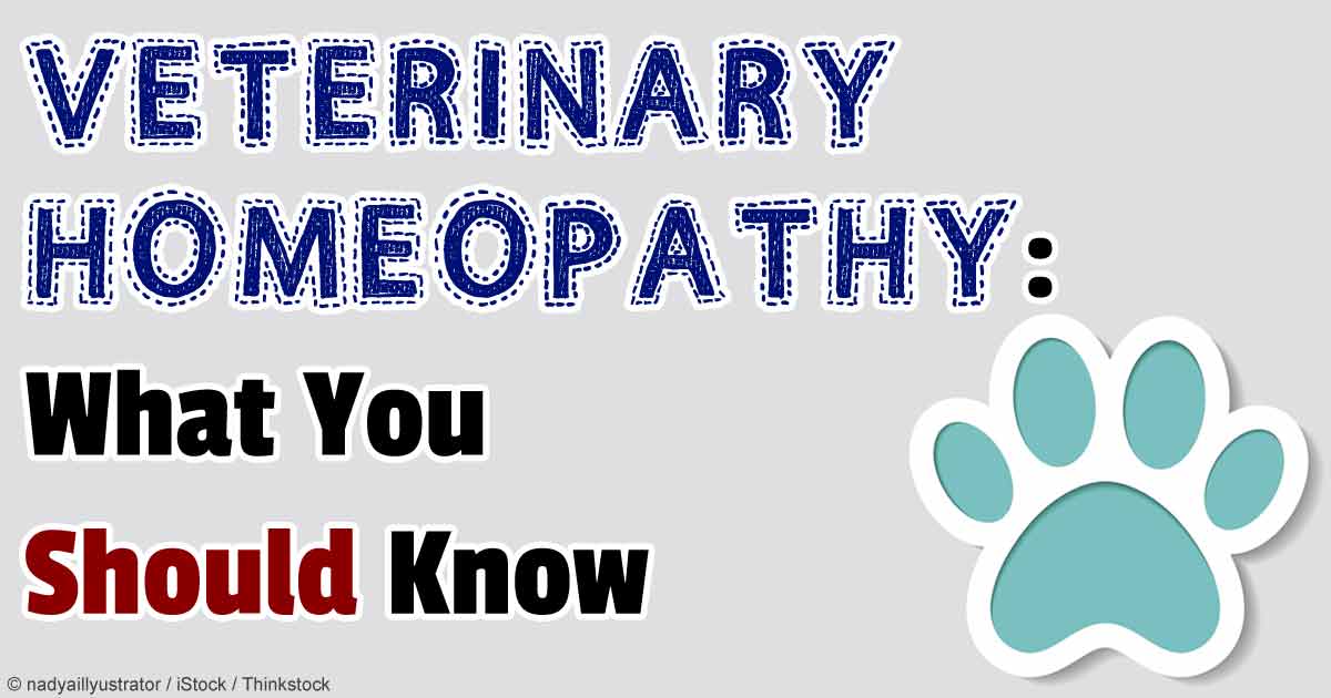 Homeopathy in veterinary science study by Demystifying Homeopathy